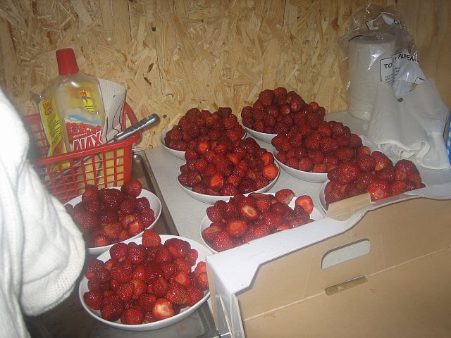 2007 Midsommar - 026